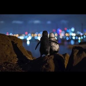 Meet your Posher, Anggy